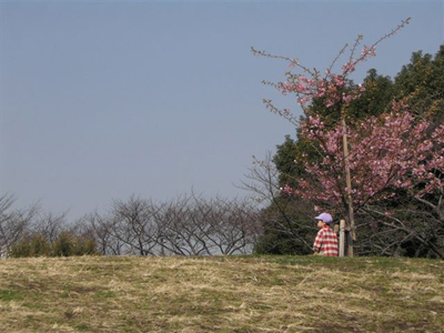 クリックでfujiの作品をみる